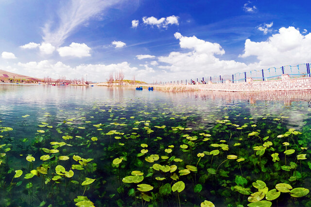 حال سراب نیلوفر خوب است